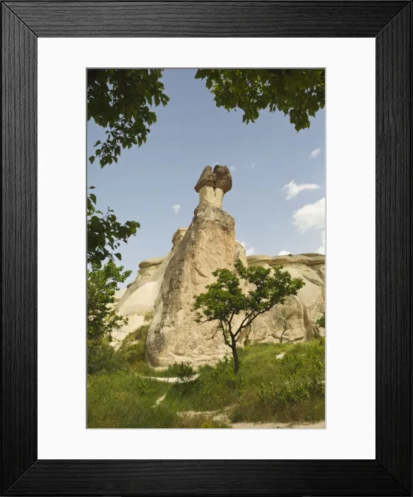 Framed Print : Fairy chimneys in Pasabag Valley Framed Print : Fairy chimneys in Pasabag Valley
