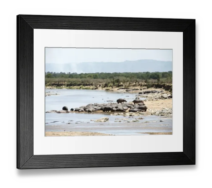 Framed Print : Hippopotamus resting on banks of Mara River with smoke from bush brush fire in the background, Serengeti National Park