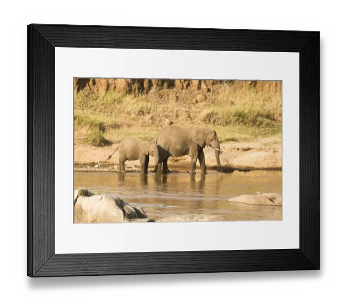 Framed Print : Female Elephant (Loxodonta africana) and calf on banks of the Mara River in Serengeti National Park Framed Print : Female Elephant (Loxodonta africana) and calf on banks of the Mara River in Serengeti National Park