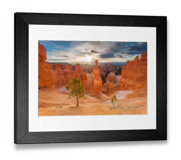 Framed Print : Bryce Canyon National Park Framed Print : Bryce Canyon National Park