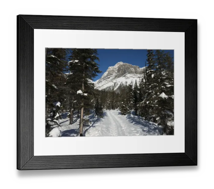 Framed Print : Ski trail in Yoho National Park Framed Print : Ski trail in Yoho National Park