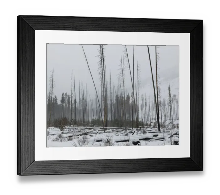 Framed Print : Snow and fog in Johnston Canyon in winter Framed Print : Snow and fog in Johnston Canyon in winter