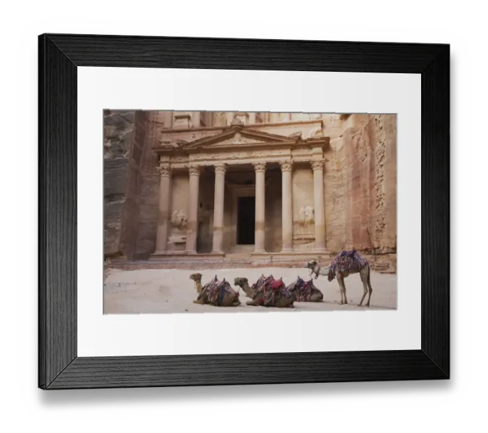 Framed Print : Camels in front of the Treasury Framed Print : Camels in front of the Treasury