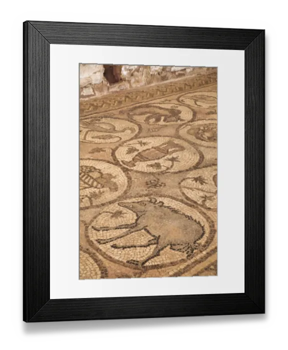 Framed Print : Floor mosaics, Petra Church (also known as the Byzantine Church), built between the fifth and seventh century AD