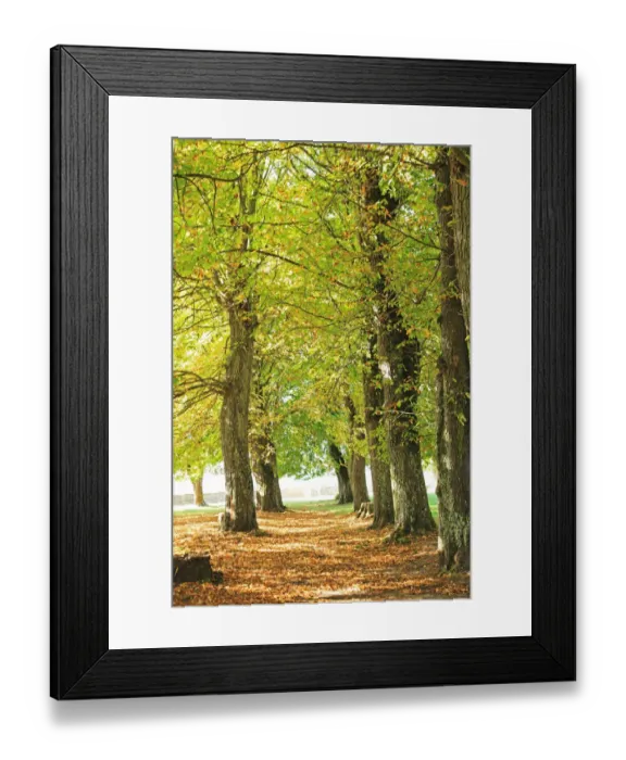 Framed Print : France, VA zelay Framed Print : France, VA zelay