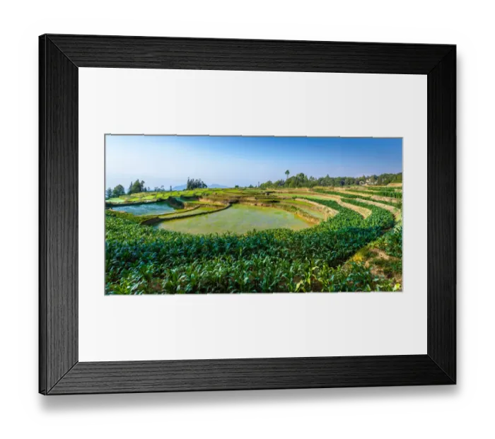 Framed Print : Yuanyang rice terrace, Yunnan, China