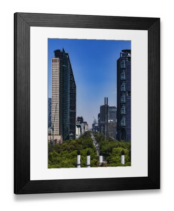 Framed Print : Mexico City Landscape