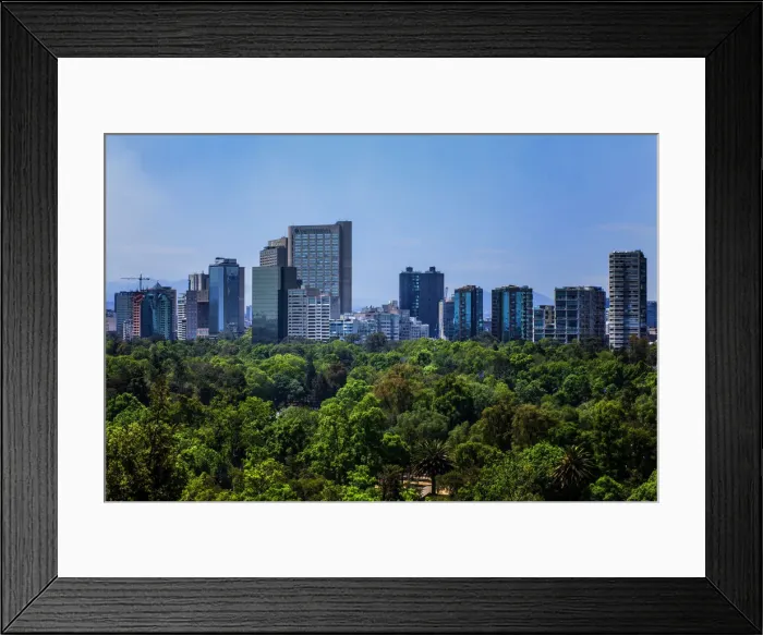 Framed Print : Mexico City Landscape Framed Print : Mexico City Landscape