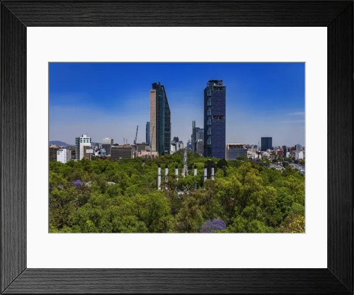 Framed Print : Mexico City Landscape