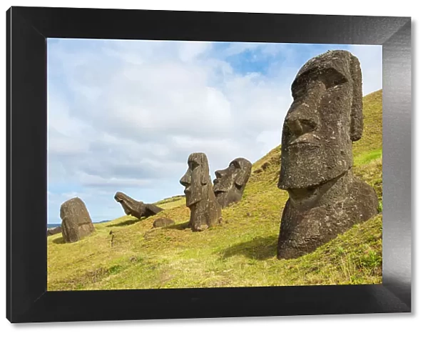 Easter island landscape. Several moai in sunny day