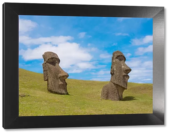 Two half buried huge moai statues in Easter Island