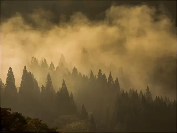 Mist. Shirakawa-go village unesco world heritage. Japan