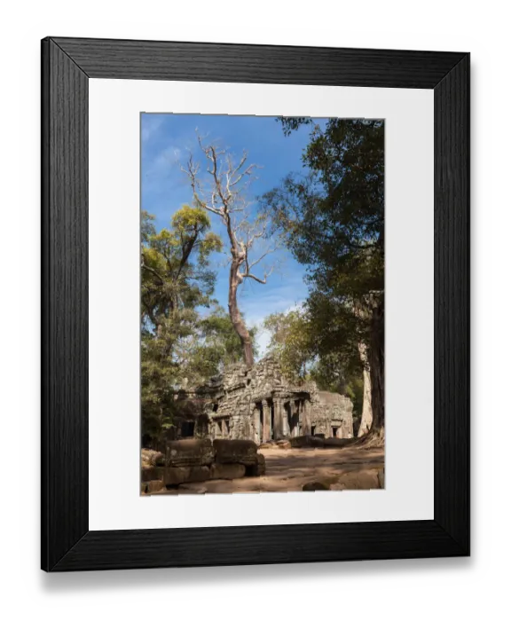 Framed Print : The Ancient Ta Prohm Temple in the Rain Forest Framed Print : The Ancient Ta Prohm Temple in the Rain Forest