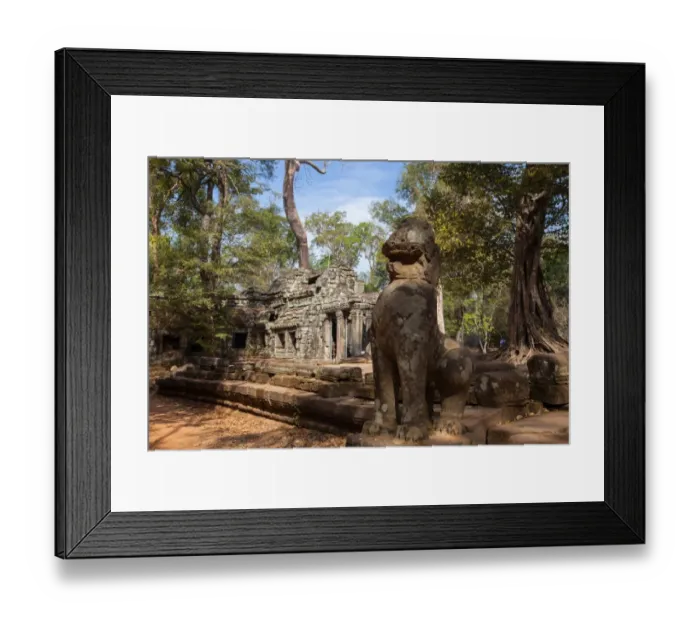 Framed Print : The Ancient Ta Prohm Temple in the Rain Forest Framed Print : The Ancient Ta Prohm Temple in the Rain Forest