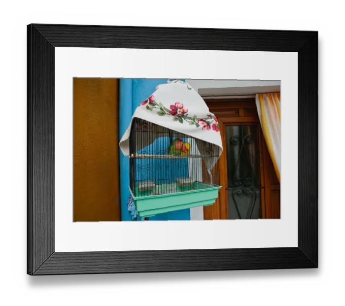 Framed Print : Two love birds in a cage, on the Island of Burano, Italy