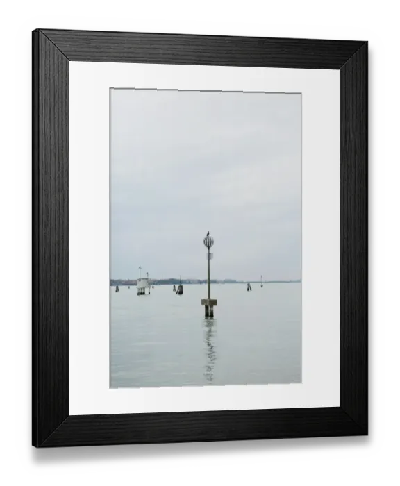 Framed Print : Grey Heron -Ardea cinerea- in flight with nesting material, Stuttgart, Baden-Wuerttemberg, Germany, Europe Framed Print : Grey Heron -Ardea cinerea- in flight with nesting material, Stuttgart, Baden-Wuerttemberg, Germany, Europe