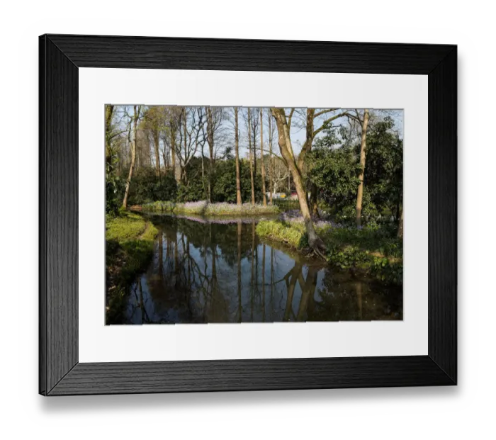 Framed Print : Forest On Shores Of West Lake in Spring, Hangzhou, China Framed Print : Forest On Shores Of West Lake in Spring, Hangzhou, China