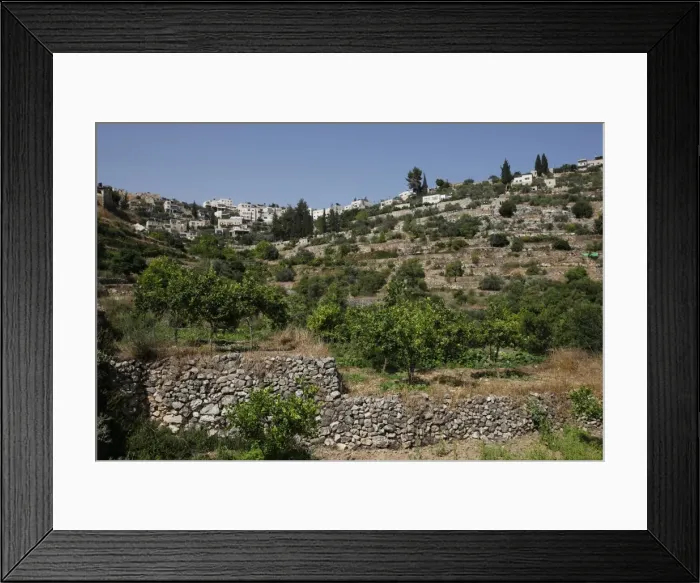 Framed Print : Ancient terraces of Battir Framed Print : Ancient terraces of Battir