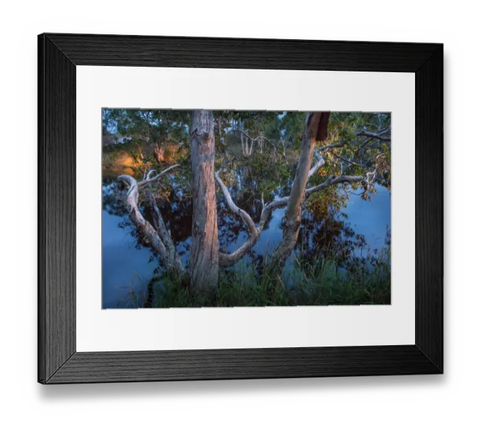 Framed Print : Nature Landscape Framed Print : Nature Landscape