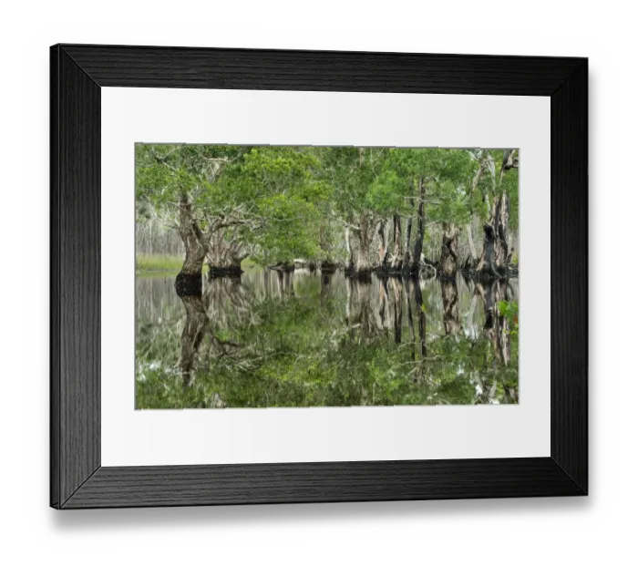 Framed Print : Nature Landscape Framed Print : Nature Landscape
