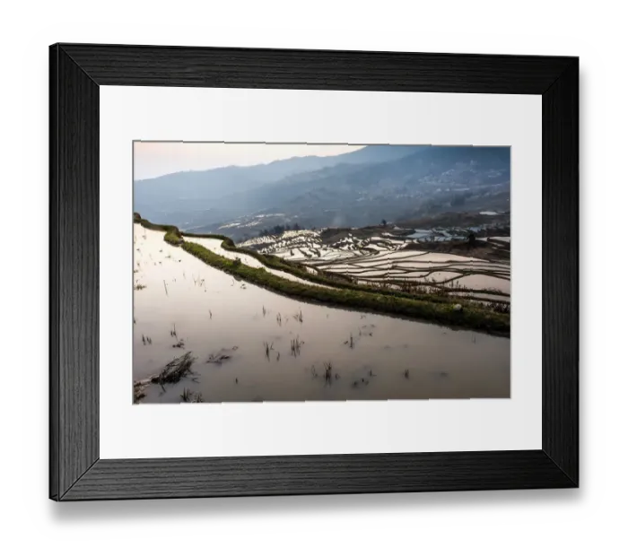 Framed Print : Rice terrace at Yuanyang. Yunnan. China Framed Print : Rice terrace at Yuanyang. Yunnan. China