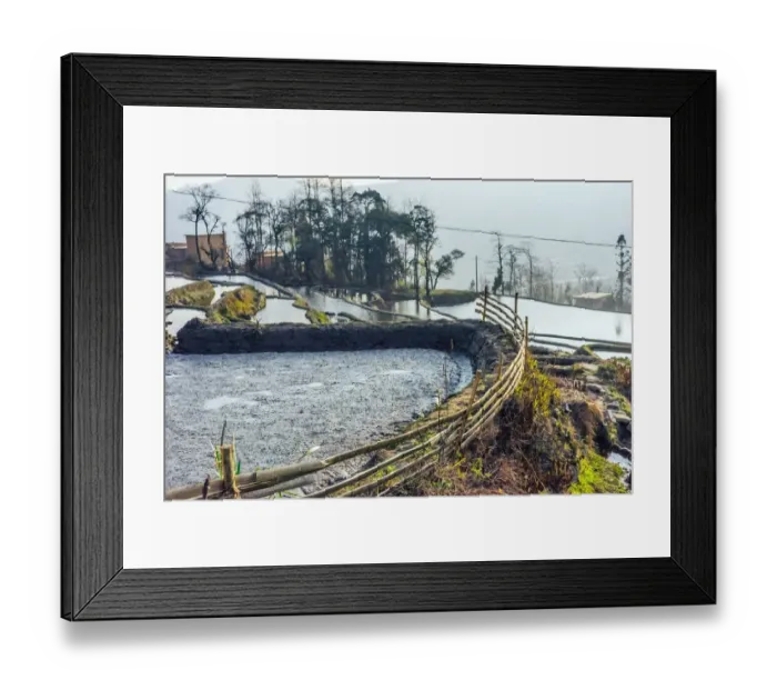 Framed Print : Rice terrace at Yuanyang. Yunnan. China Framed Print : Rice terrace at Yuanyang. Yunnan. China