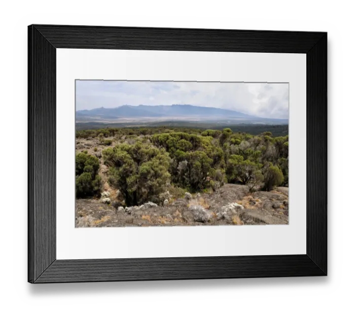 Framed Print : Panorama of Shira plateau, Kilimanjaro National Park, Lemosho trail Framed Print : Panorama of Shira plateau, Kilimanjaro National Park, Lemosho trail