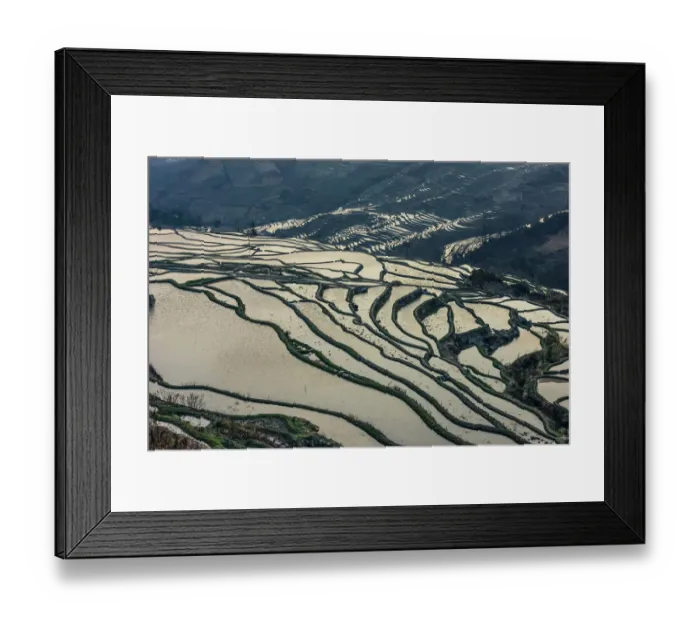 Framed Print : Rice terrace at Yuanyang. Yunnan. China Framed Print : Rice terrace at Yuanyang. Yunnan. China