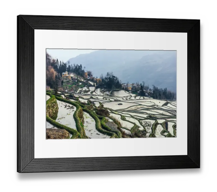 Framed Print : Rice terrace at Yuanyang. Yunnan. China Framed Print : Rice terrace at Yuanyang. Yunnan. China