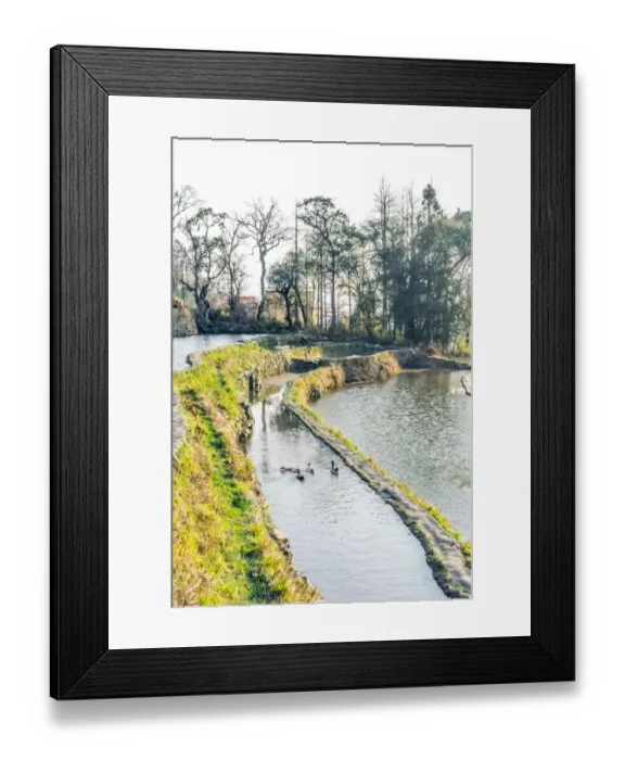Framed Print : Rice terrace at Yuanyang. Yunnan. China Framed Print : Rice terrace at Yuanyang. Yunnan. China