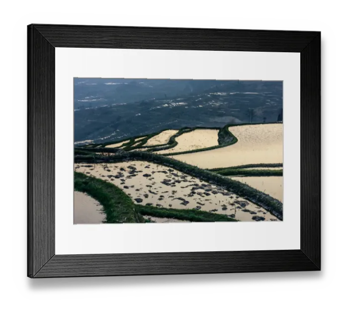 Framed Print : Rice terrace at Yuanyang. Yunnan. China