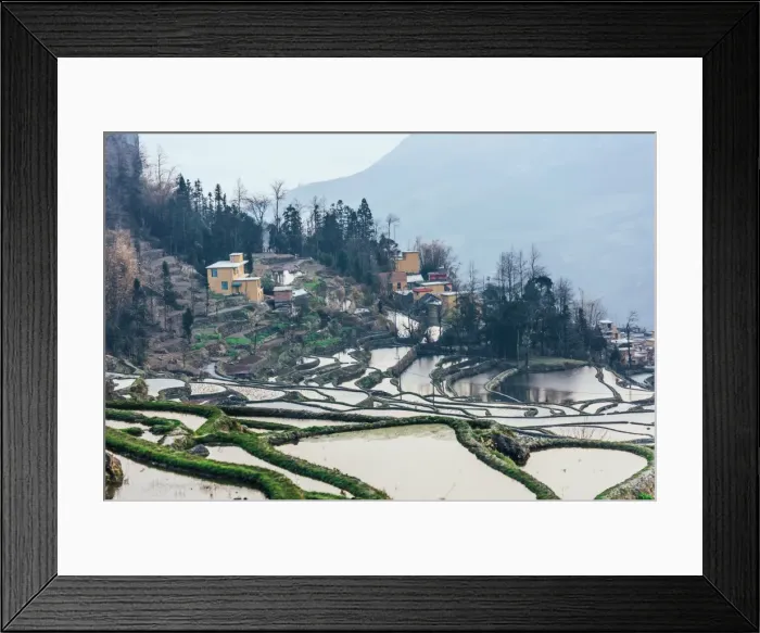 Framed Print : Rice terrace at Yuanyang. Yunnan. China Framed Print : Rice terrace at Yuanyang. Yunnan. China