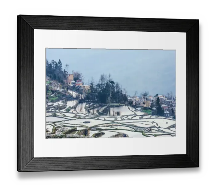 Framed Print : Rice terrace at Yuanyang. Yunnan. China Framed Print : Rice terrace at Yuanyang. Yunnan. China