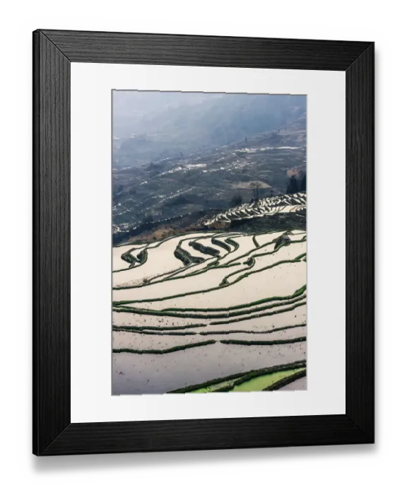 Framed Print : Rice terrace at Yuanyang. Yunnan. China