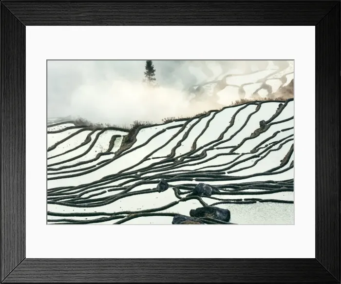 Framed Print : Rice terrace at Yuanyang. Yunnan. China Framed Print : Rice terrace at Yuanyang. Yunnan. China