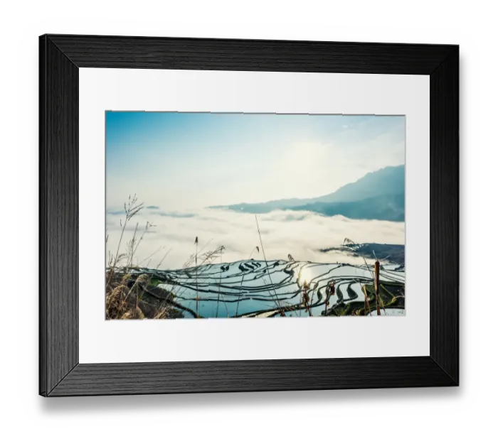Framed Print : Rice terrace at Yuanyang. Yunnan. China Framed Print : Rice terrace at Yuanyang. Yunnan. China