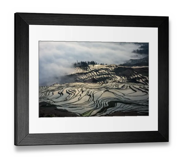 Framed Print : Rice terrace at Yuanyang. Yunnan. China Framed Print : Rice terrace at Yuanyang. Yunnan. China