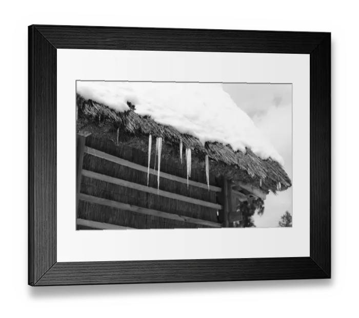 Framed Print : Icicles. An icicle dangled from a roof of the old Japanese house Framed Print : Icicles. An icicle dangled from a roof of the old Japanese house