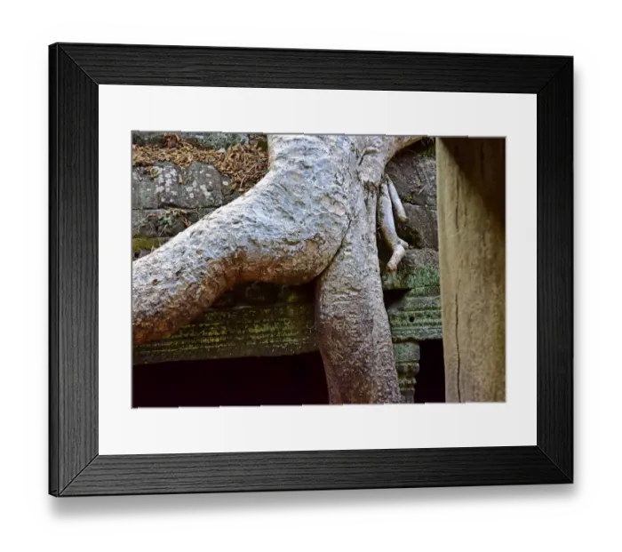 Framed Print : Suggestive tree roots at Ta Prohm temple in Cambodia Framed Print : Suggestive tree roots at Ta Prohm temple in Cambodia