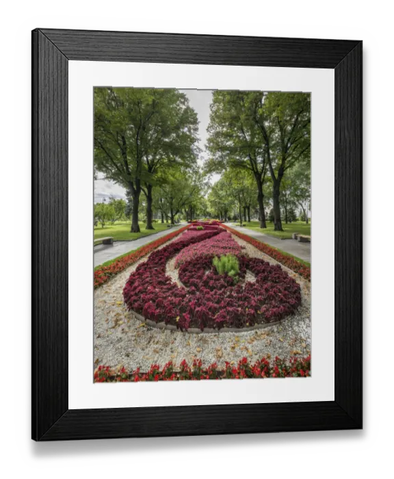 Framed Print : Gardens of The Moscow Kremlin complex in Russia Framed Print : Gardens of The Moscow Kremlin complex in Russia