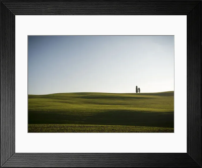 Framed Print : Two cypress trees on the hill in Val d Orcia Framed Print : Two cypress trees on the hill in Val d Orcia