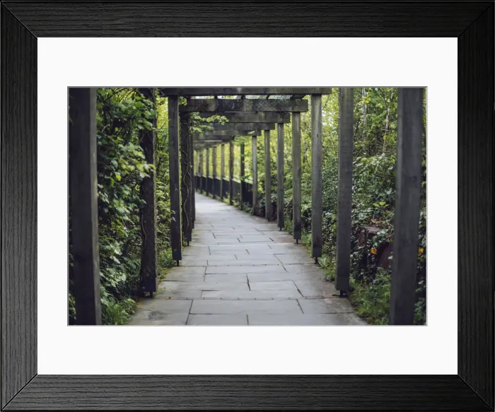 Framed Print : Vine covered passage leading to the entrance of Bru na BAoinne, Ireland Framed Print : Vine covered passage leading to the entrance of Bru na BAoinne, Ireland