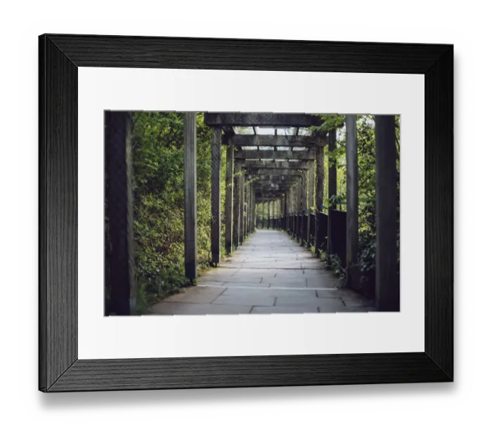 Framed Print : Vine covered passage leading to the entrance of Bru na BAoinne, Ireland Framed Print : Vine covered passage leading to the entrance of Bru na BAoinne, Ireland