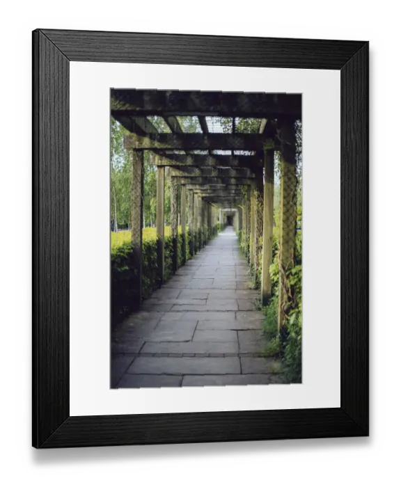 Framed Print : Vine covered passage leading to the entrance of Bru na BAoinne, Ireland Framed Print : Vine covered passage leading to the entrance of Bru na BAoinne, Ireland