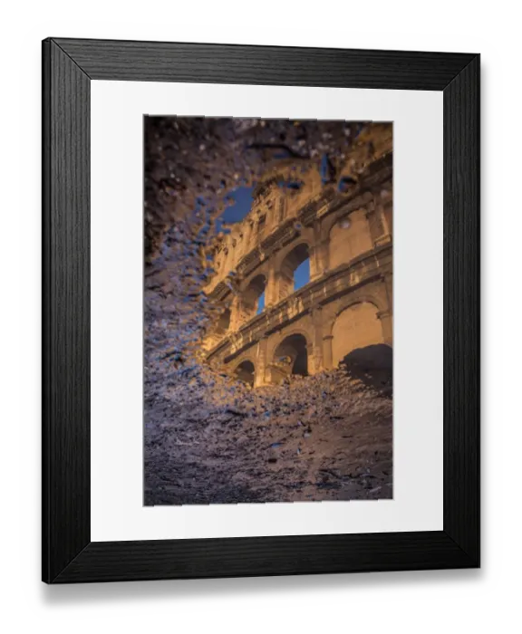 Framed Print : The Colosseum reflected in a puddle at sunrise in Rome, Italy Framed Print : The Colosseum reflected in a puddle at sunrise in Rome, Italy