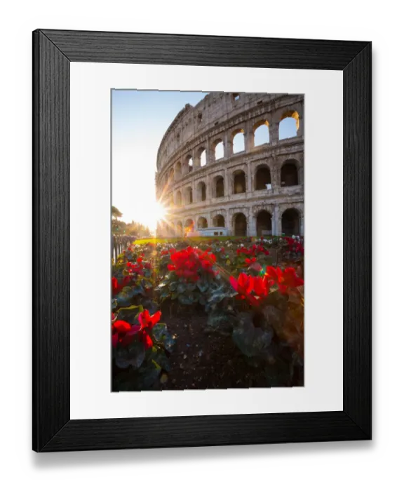 Framed Print : The Colosseum at sunrise in Rome, Italy Framed Print : The Colosseum at sunrise in Rome, Italy