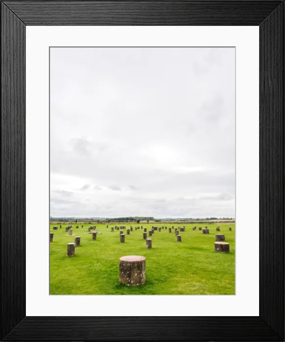 Framed Print : Woodhenge Framed Print : Woodhenge