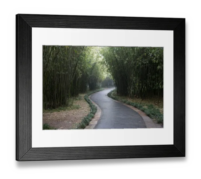 Framed Print : Path of Bamboo Grove, Yangzhou, Jiangsu, China Framed Print : Path of Bamboo Grove, Yangzhou, Jiangsu, China