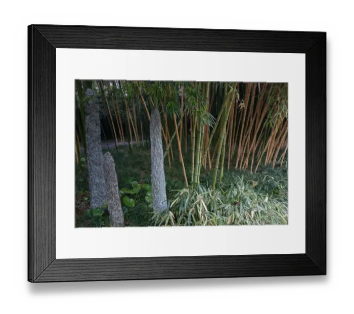 Framed Print : Stalagmite and Bamboo Grove, Yangzhou, Jiangsu, China Framed Print : Stalagmite and Bamboo Grove, Yangzhou, Jiangsu, China