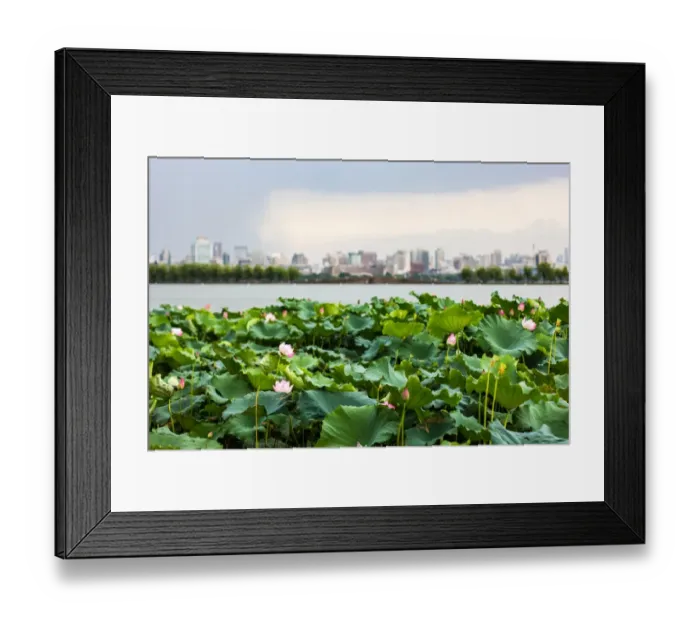 Framed Print : Scenic View Of lotus flowers in the West Lake against Hangzhou city